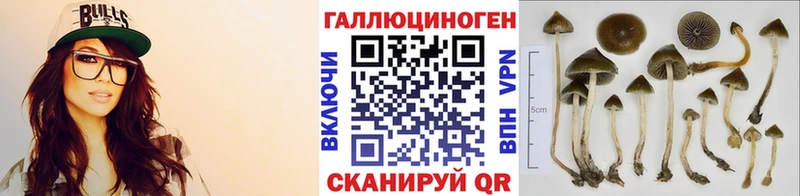 Псилоцибиновые грибы мицелий  MEGA ссылка  Вельск  цена  